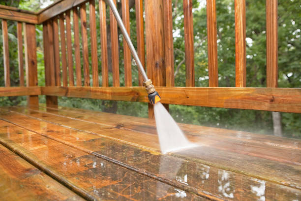 Best Roof Cleaning and Mildew Removal in Redwood Valley, CA